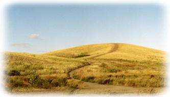 Туры в Аркаим 